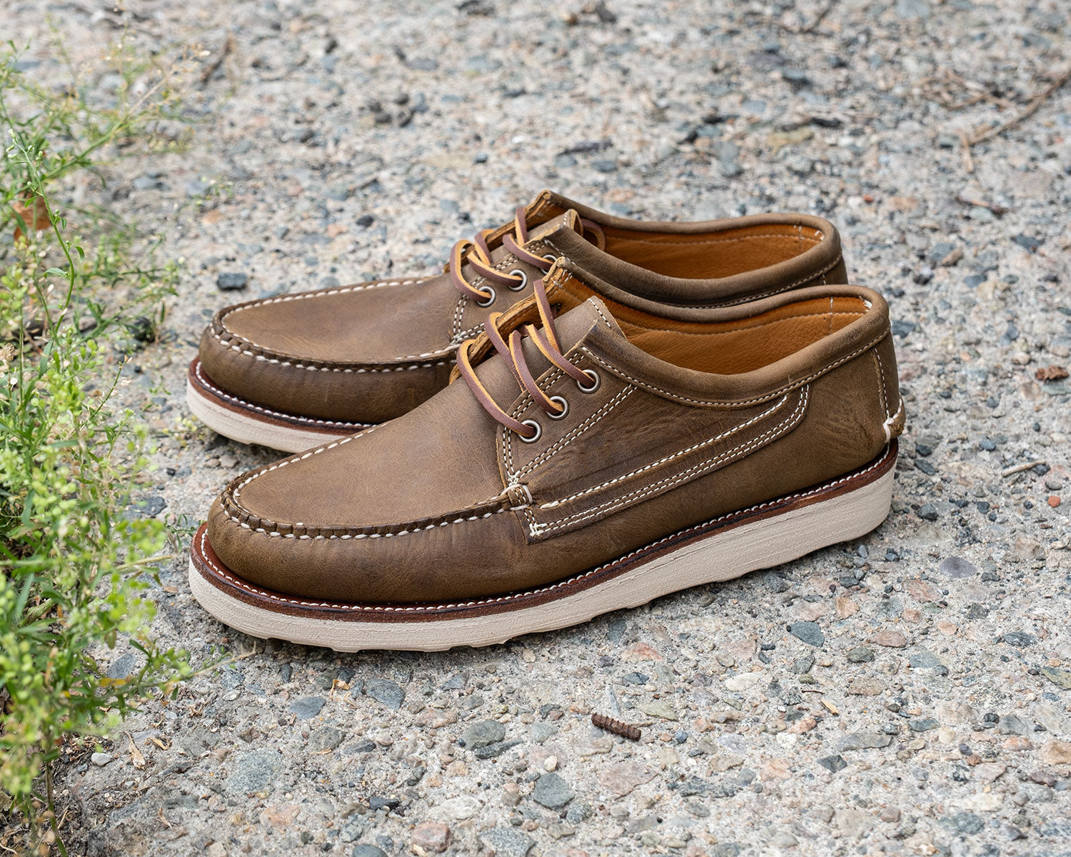 Rambler - Honey Crazy Horse – Easymoc